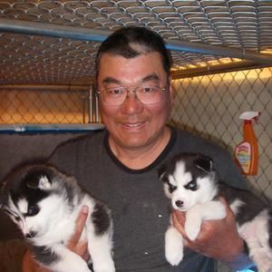 Meet your Posher, Thomas